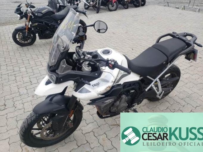 TRIUMPH TIGER 21/21
